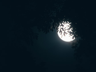 �A月 ��月中秋的月亮高清幻�羝��D片