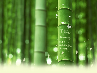 竹节上刻的字浪漫爱情主题背景图片