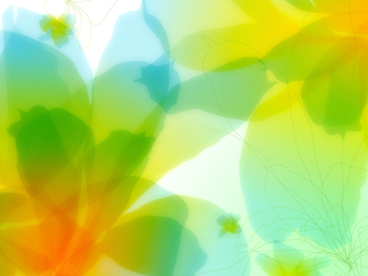 亮彩花瓣IOS7系统背景图片