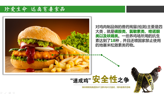 食品健康安全教育公益ppt模板，插图3，来源：资源仓库www.zycang.com