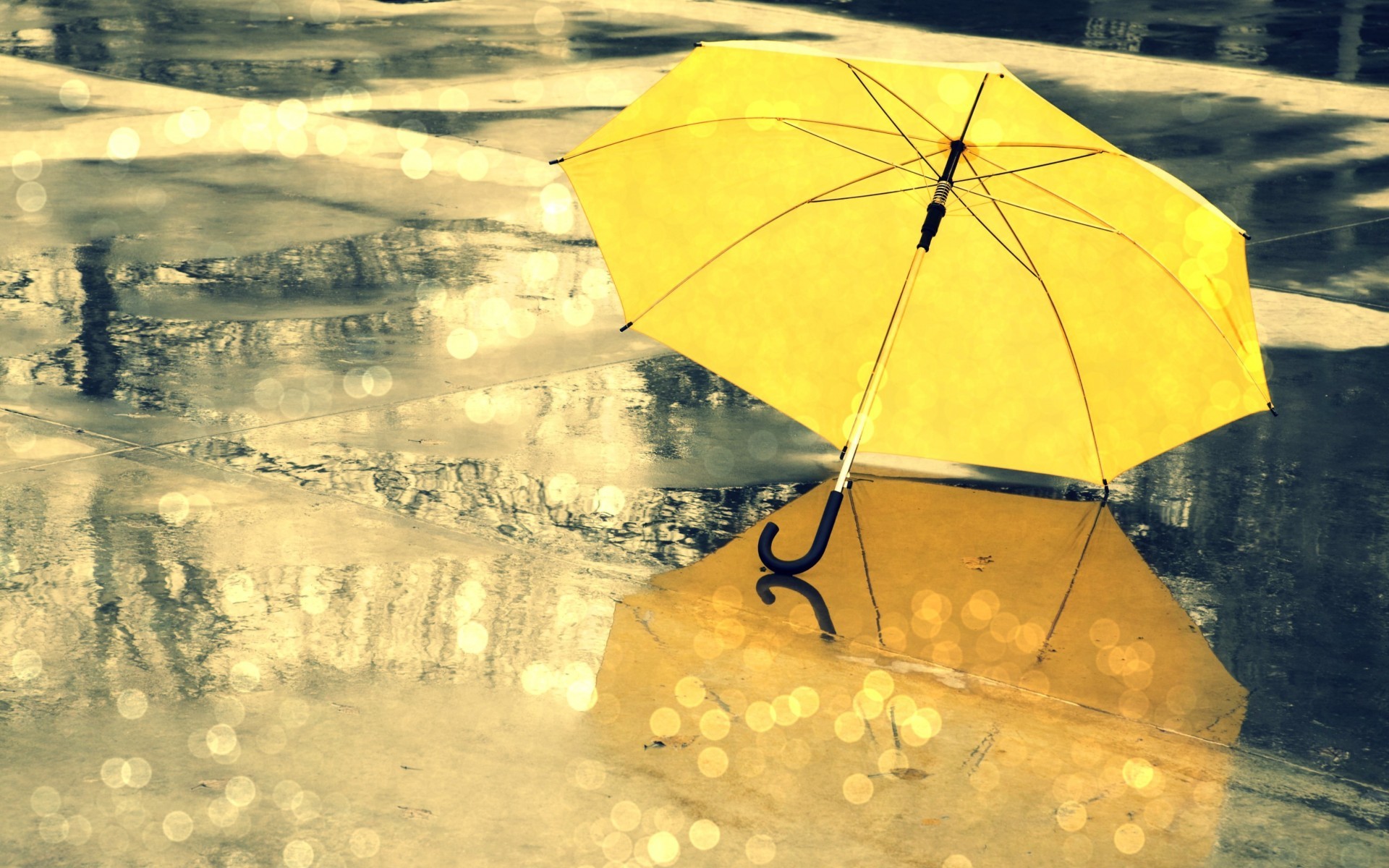 快乐的童女撑着伞，穿着胶靴在水坑里秋日漫步照片摄影图片_ID:309646257-Veer图库
