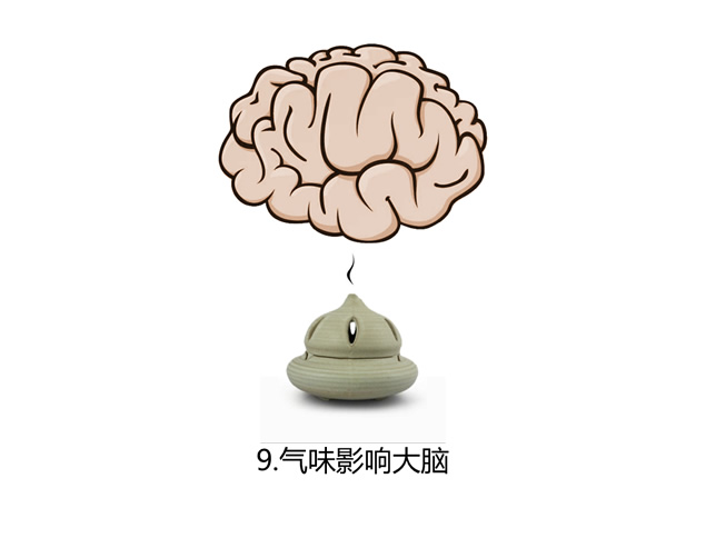 关于大脑的20个事实——了解大脑职场培训的ppt模板，插图4，来源：资源仓库www.zycang.com