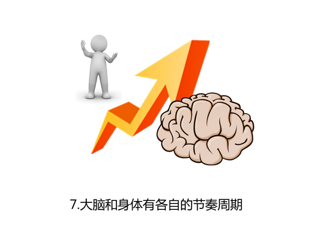 关于大脑的20个事实——了解大脑职场培训的ppt模板，插图2，来源：资源仓库www.zycang.com