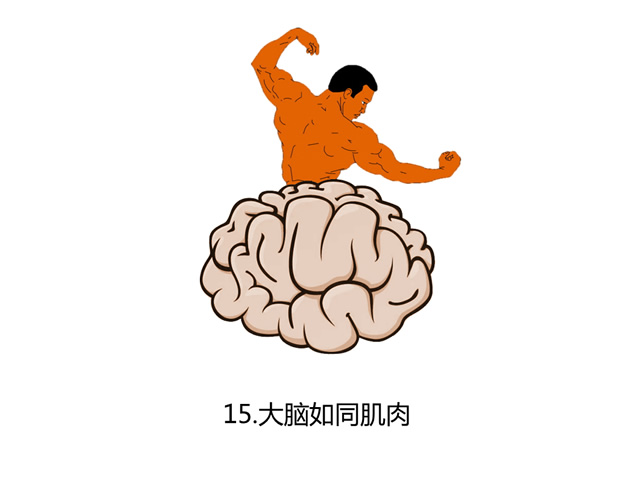 关于大脑的20个事实——了解大脑职场培训的ppt模板，插图7，来源：资源仓库www.zycang.com