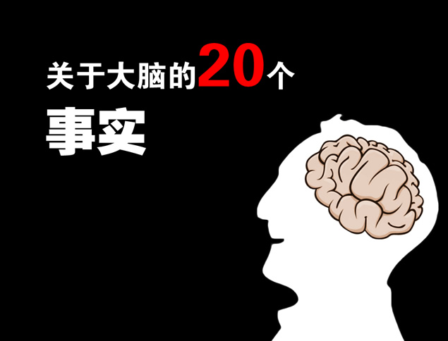 关于大脑的20个事实——了解大脑职场培训的ppt模板，插图，来源：资源仓库www.zycang.com