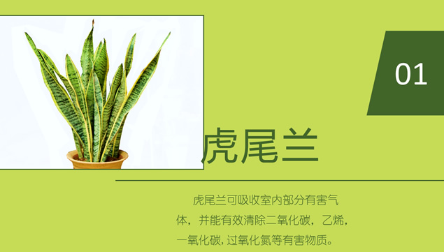 植物对空气环境的改观影响ppt模板，插图1，来源：资源仓库www.zycang.com