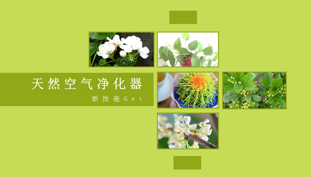 植物对空气环境的改观影响ppt模板，插图，来源：资源仓库www.zycang.com
