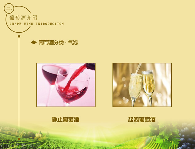 葡萄酒行业销售知识培训ppt模板，插图5，来源：资源仓库www.zycang.com