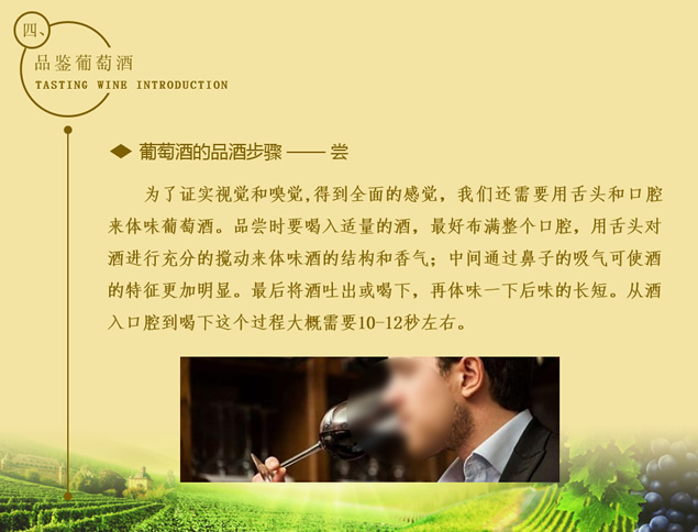 葡萄酒行业销售知识培训ppt模板，插图9，来源：资源仓库www.zycang.com
