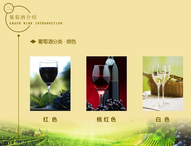 葡萄酒行业销售知识培训ppt模板，插图4，来源：资源仓库www.zycang.com
