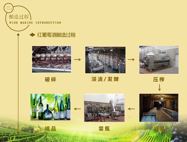 葡萄酒行业销售知识培训ppt模板，插图6，来源：资源仓库www.zycang.com