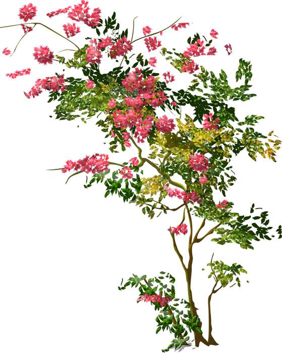 60张植物花卉树的png图片（上），插图5，来源：资源仓库www.zycang.com
