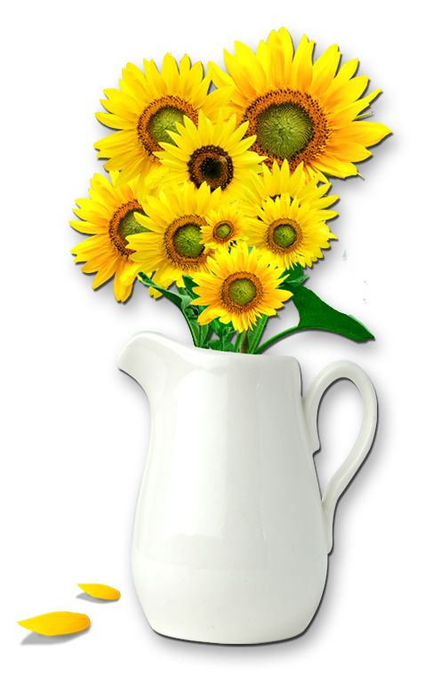 向日葵花朵花瓶花篮png素材图片（61张），插图15，来源：资源仓库www.zycang.com