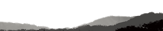 花鸟山水中国风系列png高清图片（22张），插图12，来源：资源仓库www.zycang.com