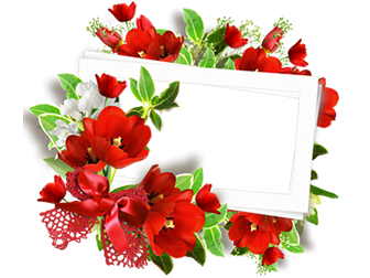 60张精美花朵花环修饰唯美相框png图片素材（上）