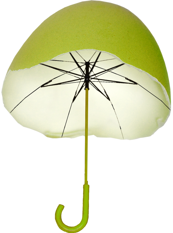 各种各样的雨伞免抠高清png素材图片（下），插图9，来源：资源仓库www.zycang.com