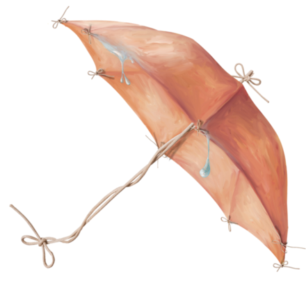 各种各样的雨伞免抠高清png素材图片（下），插图15，来源：资源仓库www.zycang.com