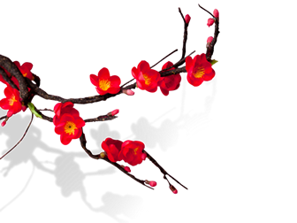 腊梅桃花花朵中国风免抠图（5张）