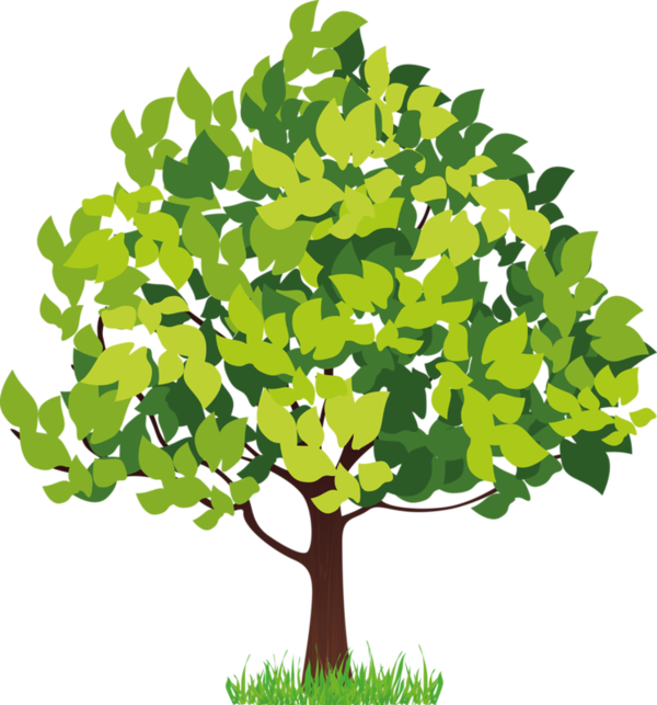 可爱的矢量卡通树——植树节免抠素材（40张），插图，来源：资源仓库www.zycang.com
