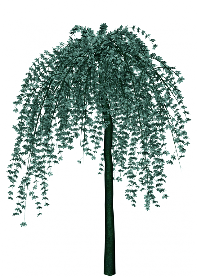 可爱的矢量卡通树——植树节免抠素材（40张），插图13，来源：资源仓库www.zycang.com
