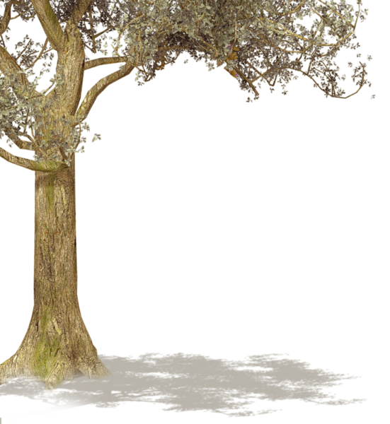 可爱的矢量卡通树——植树节免抠素材（40张），插图9，来源：资源仓库www.zycang.com