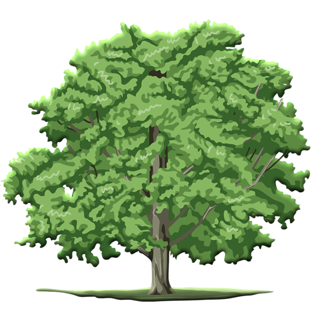 可爱的矢量卡通树——植树节免抠素材（40张），插图15，来源：资源仓库www.zycang.com