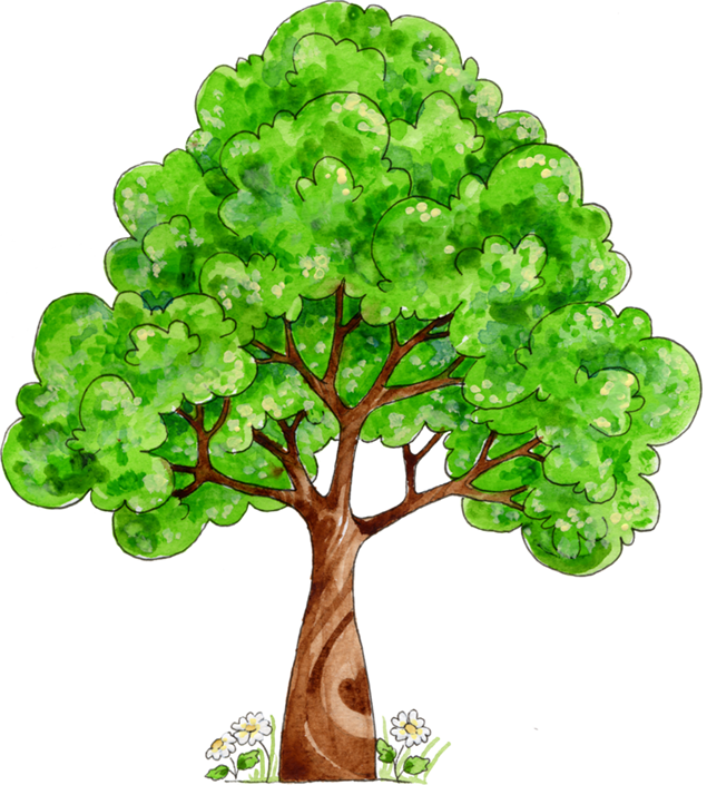 可爱的矢量卡通树——植树节免抠素材（40张），插图4，来源：资源仓库www.zycang.com