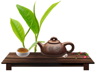 茶叶 茶杯 茶壶 茶文化主题ppt免抠图片（12张）