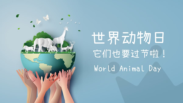 World Animal Day世界动物日ppt模板