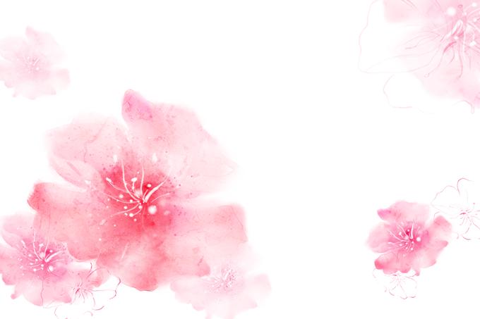 桃花 樱花 飘落的粉色花瓣高清免抠图下载（20张）-资源仓库